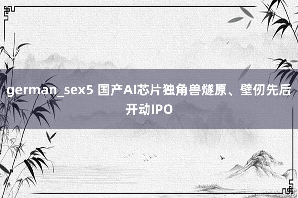 german_sex5 国产AI芯片独角兽燧原、壁仞先后开动IPO