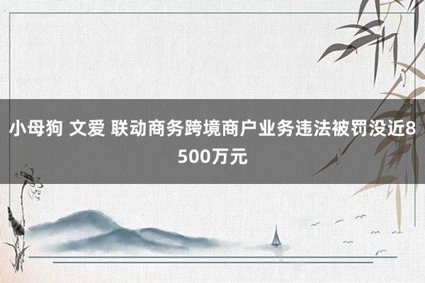 小母狗 文爱 联动商务跨境商户业务违法被罚没近8500万元