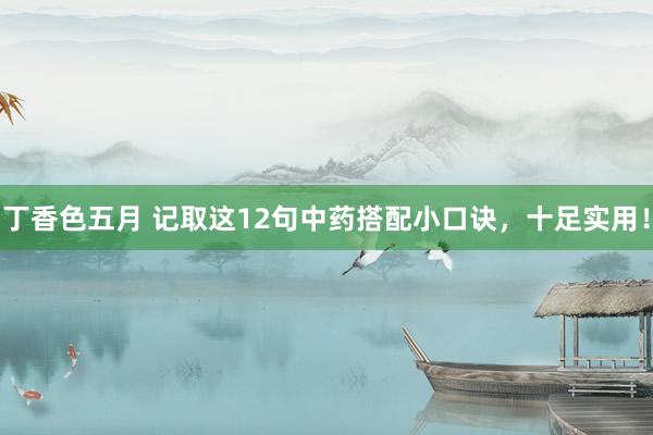 丁香色五月 记取这12句中药搭配小口诀，十足实用！