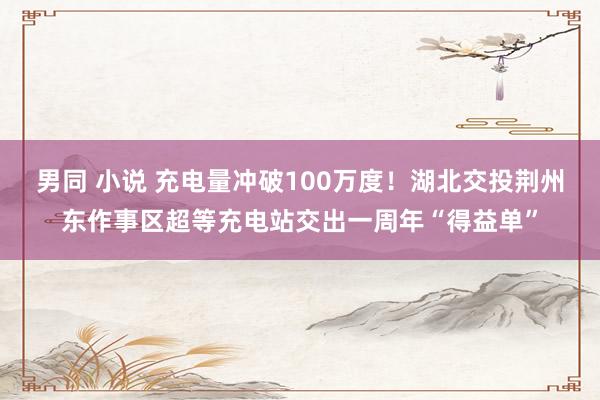 男同 小说 充电量冲破100万度！湖北交投荆州东作事区超等充电站交出一周年“得益单”