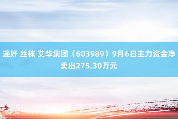 迷奸 丝袜 艾华集团（603989）9月6日主力资金净卖出275.30万元