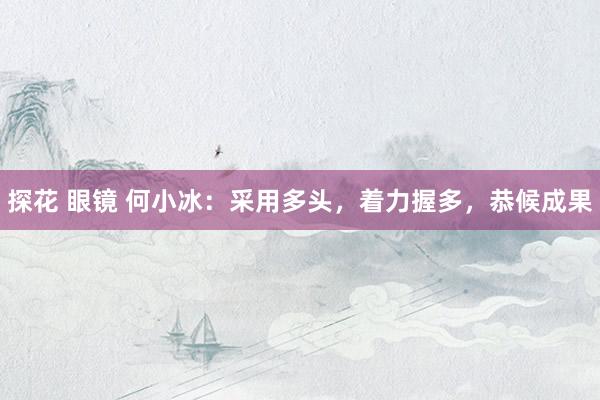 探花 眼镜 何小冰：采用多头，着力握多，恭候成果