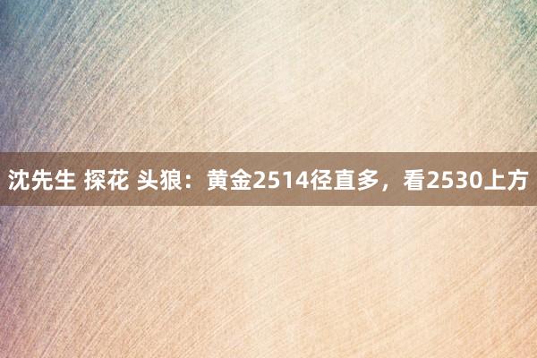 沈先生 探花 头狼：黄金2514径直多，看2530上方