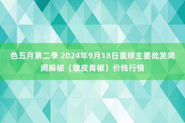 色五月第二季 2024年9月18日寰球主要批发阛阓麻椒（皱皮青椒）价钱行情