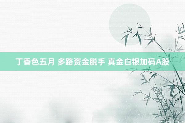 丁香色五月 多路资金脱手 真金白银加码A股