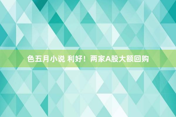 色五月小说 利好！两家A股大额回购