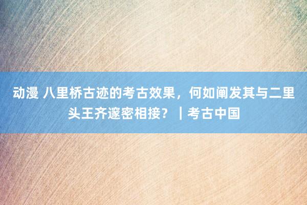 动漫 八里桥古迹的考古效果，何如阐发其与二里头王齐邃密相接？｜考古中国