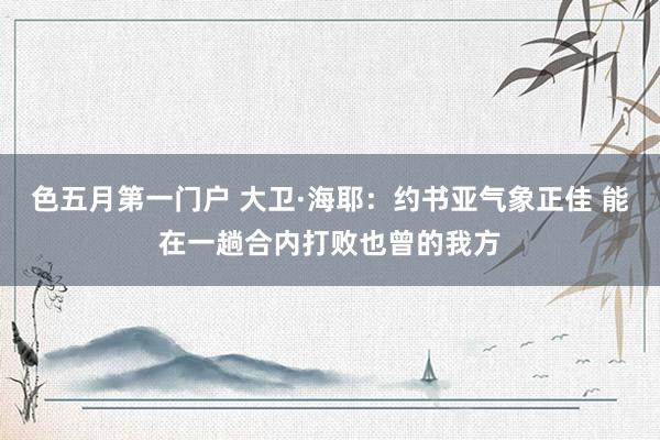 色五月第一门户 大卫·海耶：约书亚气象正佳 能在一趟合内打败也曾的我方