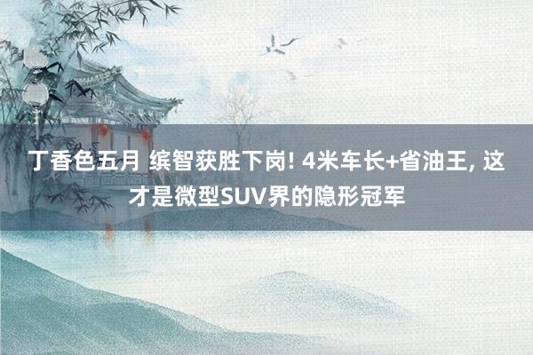 丁香色五月 缤智获胜下岗! 4米车长+省油王， 这才是微型SUV界的隐形冠军