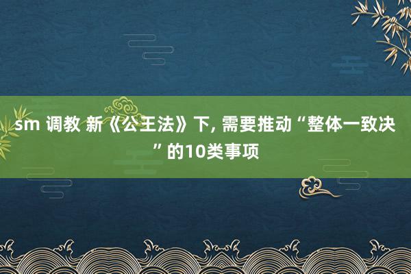 sm 调教 新《公王法》下， 需要推动“整体一致决”的10类事项