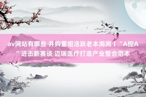 av网站有哪些 并购重组活跃老本阛阓丨“A控A”进击新赛谈 迈瑞医疗打造产业整合范本