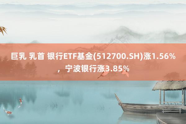 巨乳 乳首 银行ETF基金(512700.SH)涨1.56%，宁波银行涨3.85%