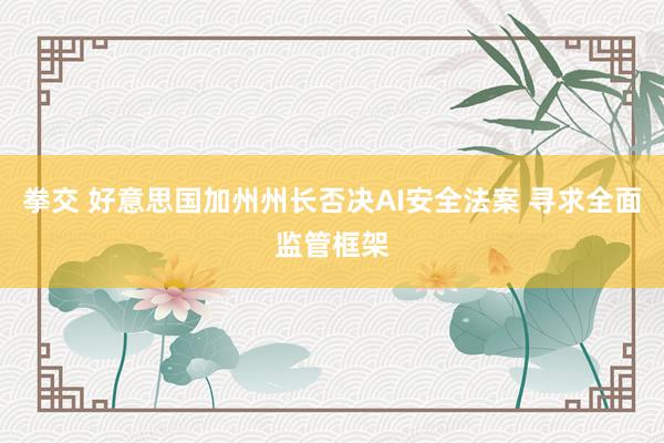 拳交 好意思国加州州长否决AI安全法案 寻求全面监管框架