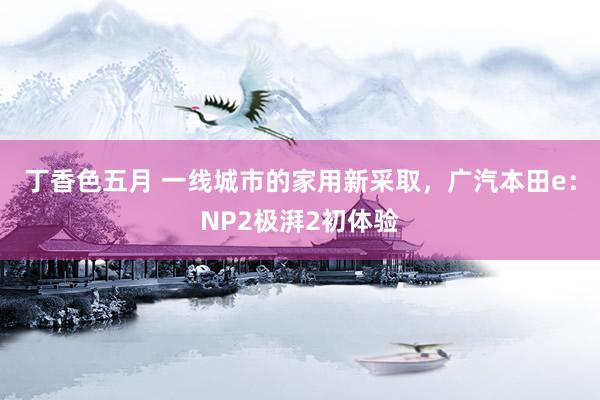 丁香色五月 一线城市的家用新采取，广汽本田e：NP2极湃2初体验
