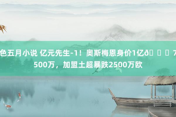 色五月小说 亿元先生-1！奥斯梅恩身价1亿📉7500万，加盟土超暴跌2500万欧