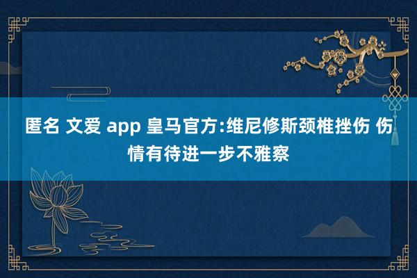 匿名 文爱 app 皇马官方:维尼修斯颈椎挫伤 伤情有待进一步不雅察
