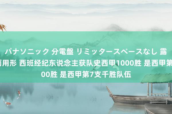 パナソニック 分電盤 リミッタースペースなし 露出・半埋込両用形 西班经纪东说念主获队史西甲1000胜 是西甲第7支千胜队伍