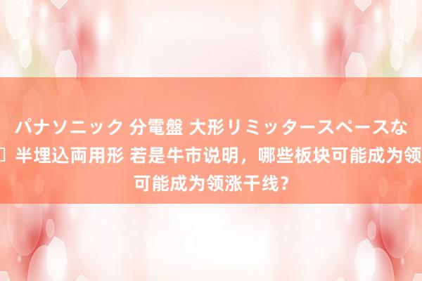 パナソニック 分電盤 大形リミッタースペースなし 露出・半埋込両用形 若是牛市说明，哪些板块可能成为领涨干线？