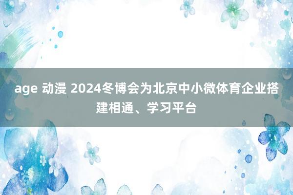 age 动漫 2024冬博会为北京中小微体育企业搭建相通、学习平台