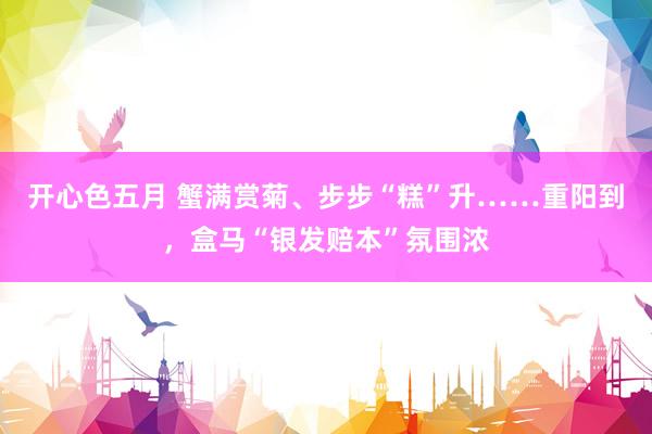 开心色五月 蟹满赏菊、步步“糕”升……重阳到，盒马“银发赔本”氛围浓