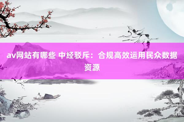 av网站有哪些 中经驳斥：合规高效运用民众数据资源