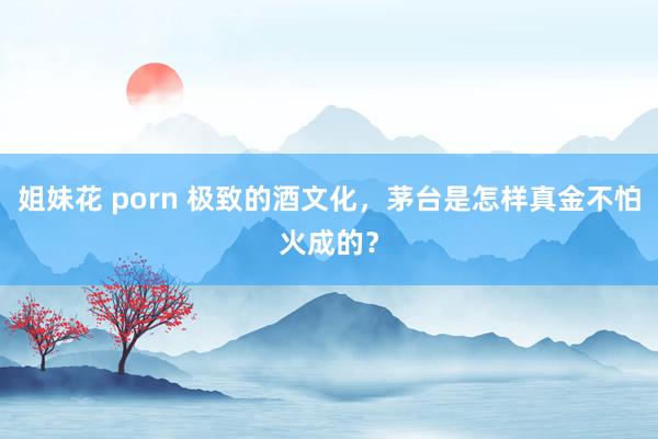 姐妹花 porn 极致的酒文化，茅台是怎样真金不怕火成的？