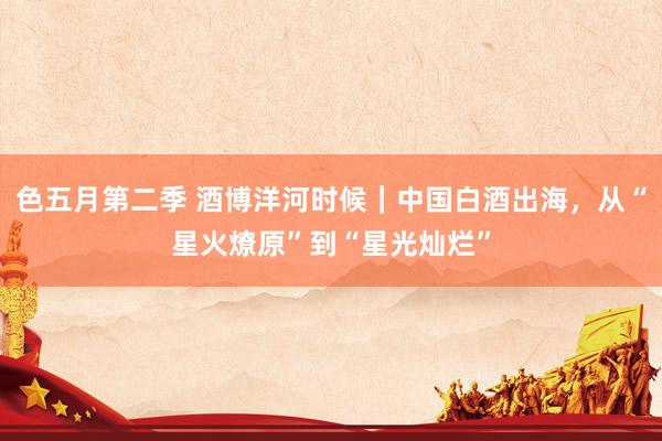 色五月第二季 酒博洋河时候｜中国白酒出海，从“星火燎原”到“星光灿烂”