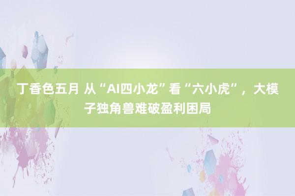 丁香色五月 从“AI四小龙”看“六小虎”，大模子独角兽难破盈利困局