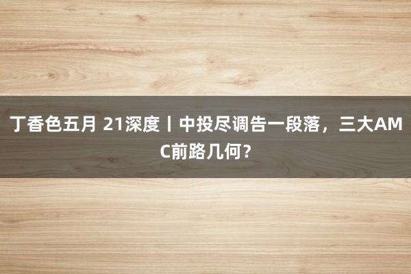 丁香色五月 21深度丨中投尽调告一段落，三大AMC前路几何？