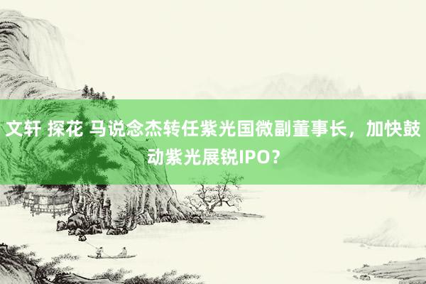 文轩 探花 马说念杰转任紫光国微副董事长，加快鼓动紫光展锐IPO？