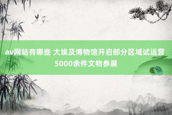 av网站有哪些 大埃及博物馆开启部分区域试运营 5000余件文物参展