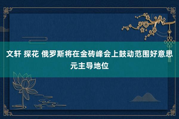 文轩 探花 俄罗斯将在金砖峰会上鼓动范围好意思元主导地位