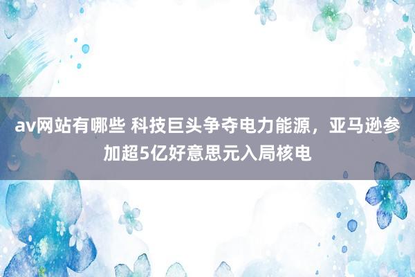 av网站有哪些 科技巨头争夺电力能源，亚马逊参加超5亿好意思元入局核电