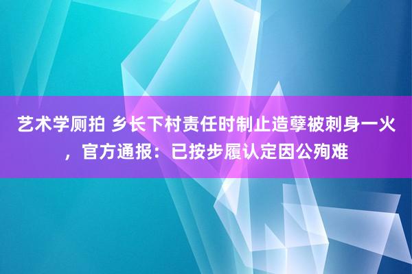 艺术学厕拍 乡长下村责任时制止造孽被刺身一火，官方通报：已按步履认定因公殉难