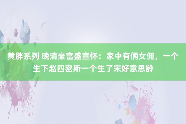 黄胖系列 晚清豪富盛宣怀：家中有俩女佣，一个生下赵四密斯一个生了宋好意思龄