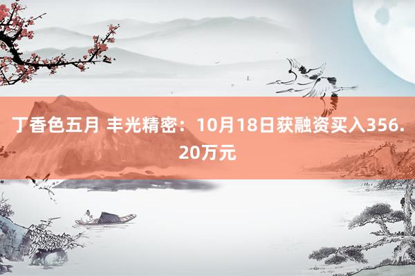 丁香色五月 丰光精密：10月18日获融资买入356.20万元
