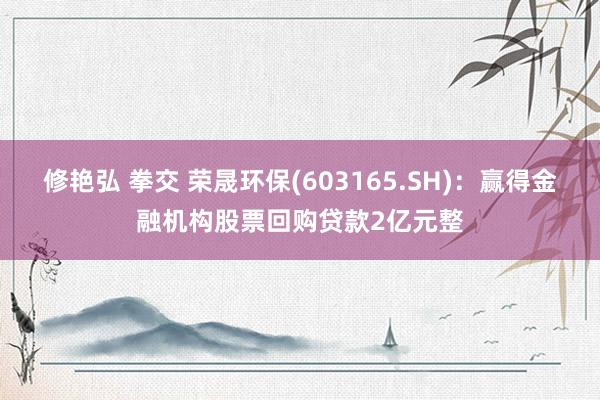 修艳弘 拳交 荣晟环保(603165.SH)：赢得金融机构股票回购贷款2亿元整
