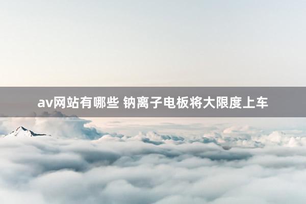 av网站有哪些 钠离子电板将大限度上车