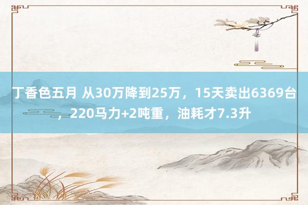 丁香色五月 从30万降到25万，15天卖出6369台，220马力+2吨重，油耗才7.3升