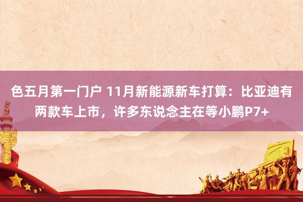 色五月第一门户 11月新能源新车打算：比亚迪有两款车上市，许多东说念主在等小鹏P7+