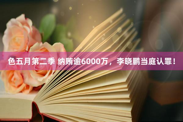 色五月第二季 纳贿逾6000万，李晓鹏当庭认罪！