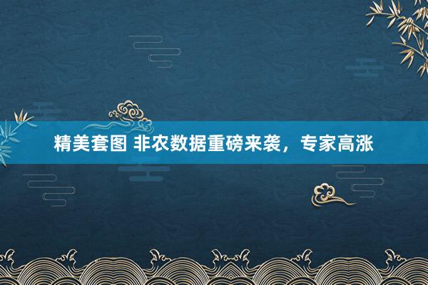 精美套图 非农数据重磅来袭，专家高涨