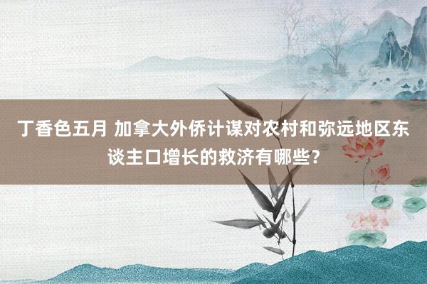 丁香色五月 加拿大外侨计谋对农村和弥远地区东谈主口增长的救济有哪些？