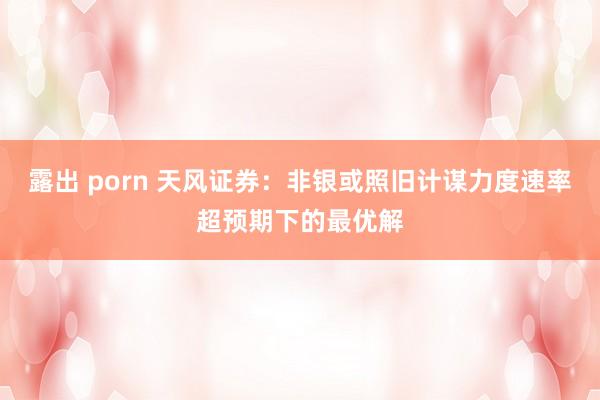 露出 porn 天风证券：非银或照旧计谋力度速率超预期下的最优解