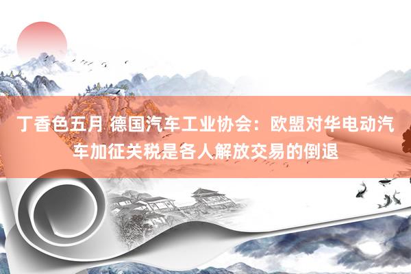 丁香色五月 德国汽车工业协会：欧盟对华电动汽车加征关税是各人解放交易的倒退