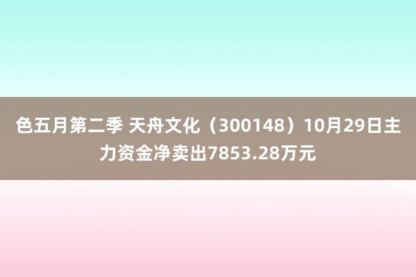 色五月第二季 天舟文化（300148）10月29日主力资金净卖出7853.28万元
