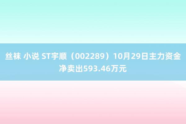 丝袜 小说 ST宇顺（002289）10月29日主力资金净卖出593.46万元