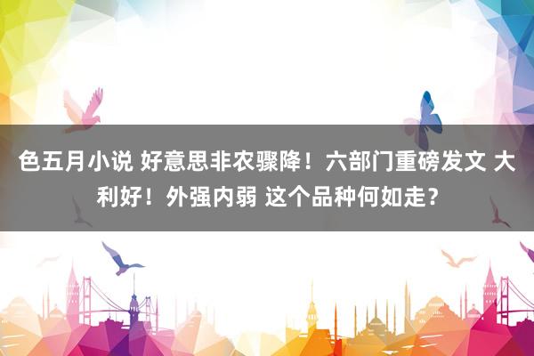 色五月小说 好意思非农骤降！六部门重磅发文 大利好！外强内弱 这个品种何如走？