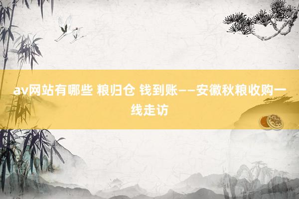 av网站有哪些 粮归仓 钱到账——安徽秋粮收购一线走访