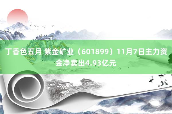 丁香色五月 紫金矿业（601899）11月7日主力资金净卖出4.93亿元
